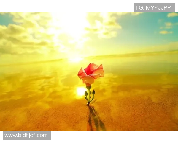 张帆的奋斗历程与人生哲学探讨如何在逆境中成长与成功