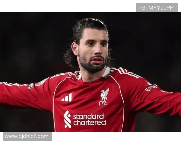 索博斯洛伊的历史渊源与文化传承探秘之旅