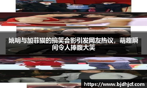 yy易游