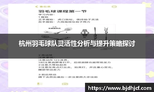 yy体育