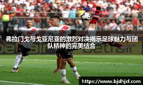 yy易游体育