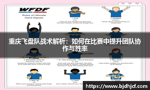 yy体育